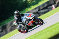PJ-Motorsport-Photography-2020;anglesey;brands-hatch;cadwell-park;croft;donington-park;enduro-digital-images;event-digital-images;eventdigitalimages;mallory;no-limits;oulton-park;peter-wileman-photography;racing-digital-images;silverstone;snetterton;trackday-digital-images;trackday-photos;vmcc-banbury-run;welsh-2-day-enduro